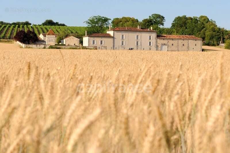 Propriete à vendre 8 pièces COGNAC (16) - photo 22