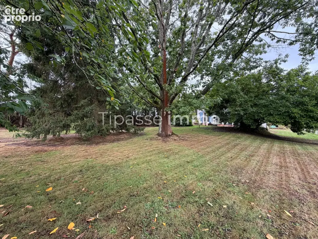 Pavillon traditionnel thuit de l'oison - photo 13