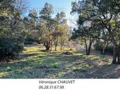 Terrain à VIDAUBAN