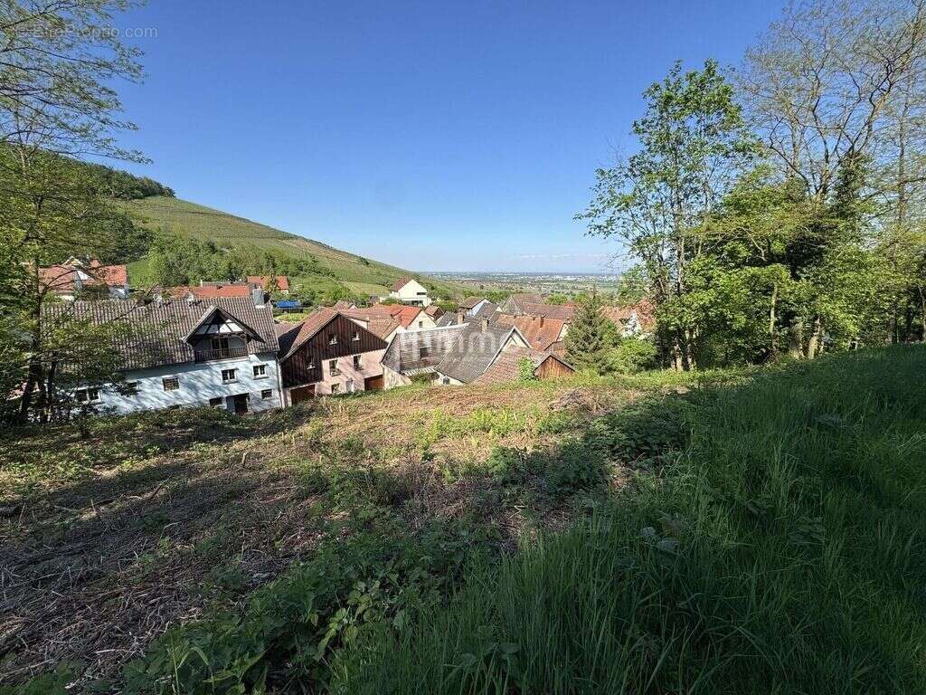 Terrain à ORSCHWILLER