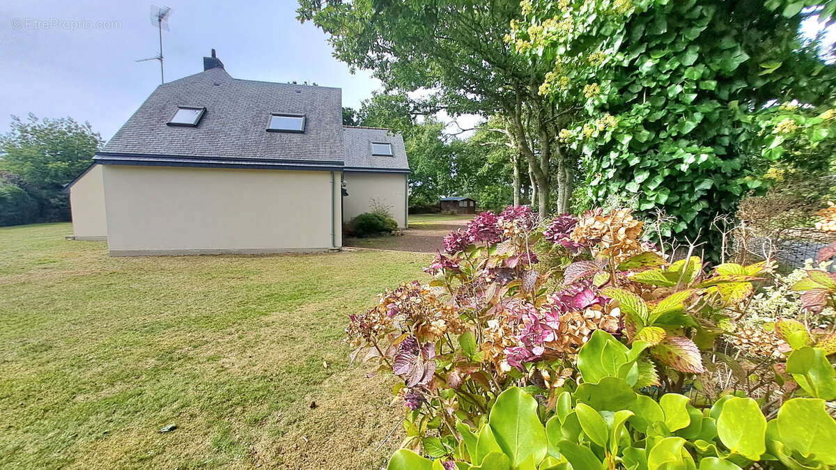 Maison à PLEUMEUR-BODOU