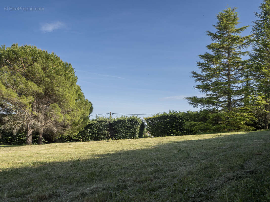 A VENDRE - EXCLUSIVITE - St Michel l'Observatoire - Terain constructible - 267 750 € FAI - photo 3