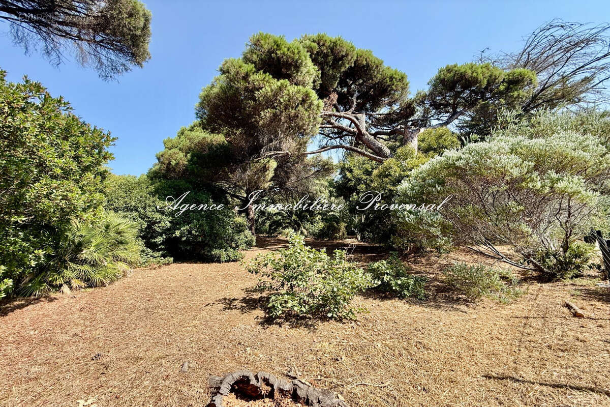 Terrain 2392 m² à Sainte-Maxime  - photo 4