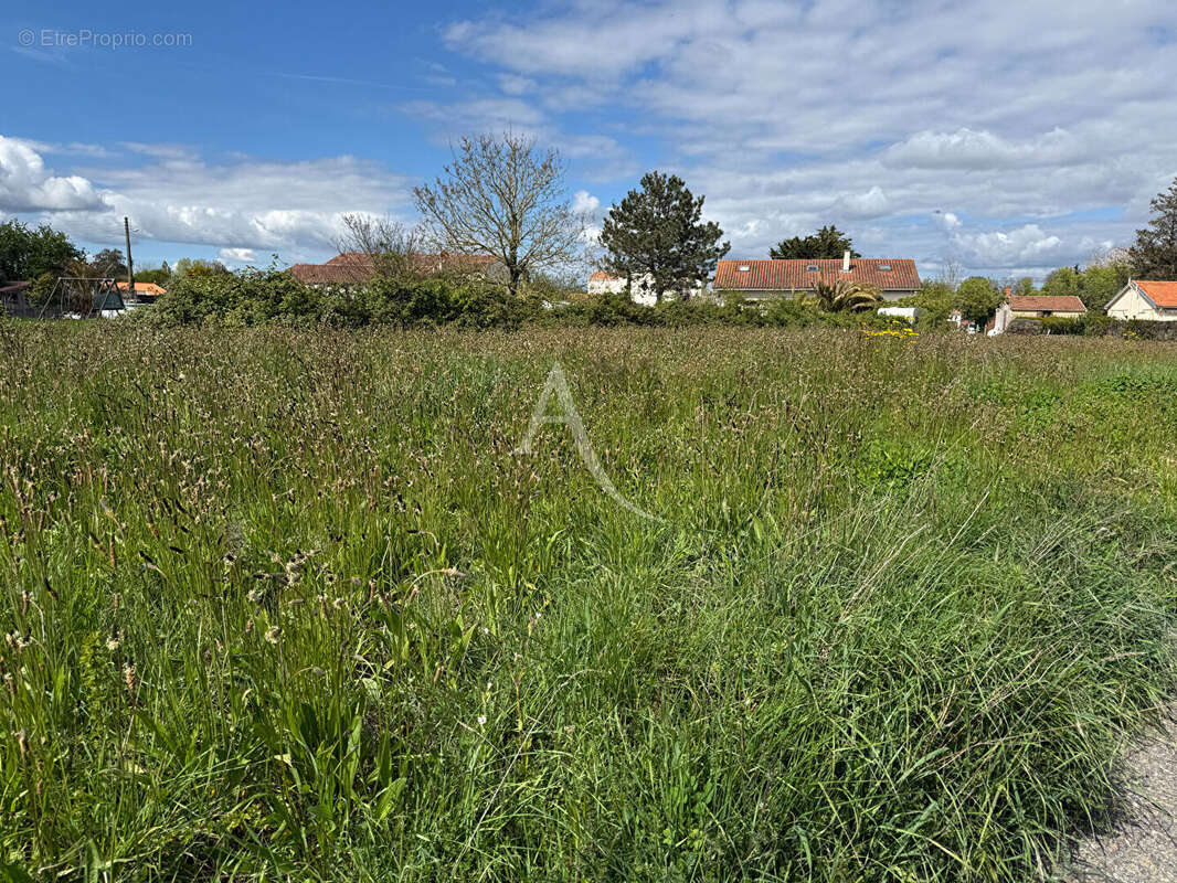 Terrain à LA JONCHERE