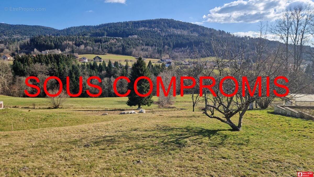 Terrain à CLEURIE