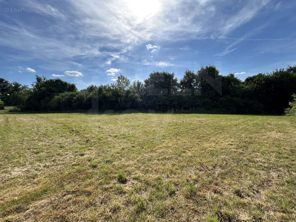 Maison à SAINT-MARTIN-DES-CHAMPS