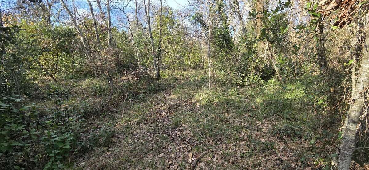Terrain à SAINT-QUENTIN-LA-POTERIE