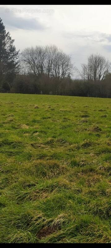 Terrain à SAINT-MARTIN-BOULOGNE