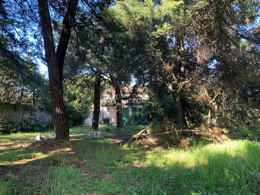 Maison à SAINTE-MARIE-DE-RE