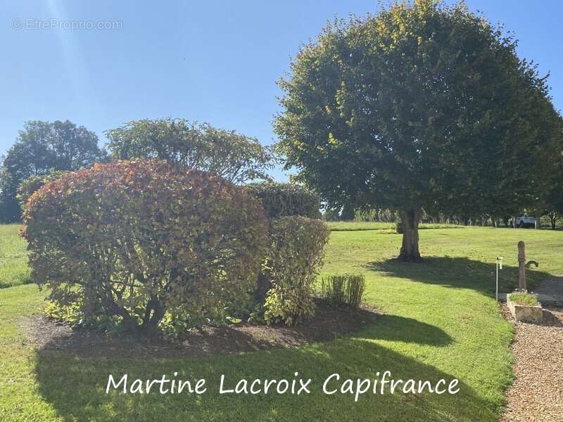 Dpt SARTHE (72), à vendre CORMES - PROPRIÉTÉ  P8 de 226 m² - Terrain de 2,50 Ha - photo 54