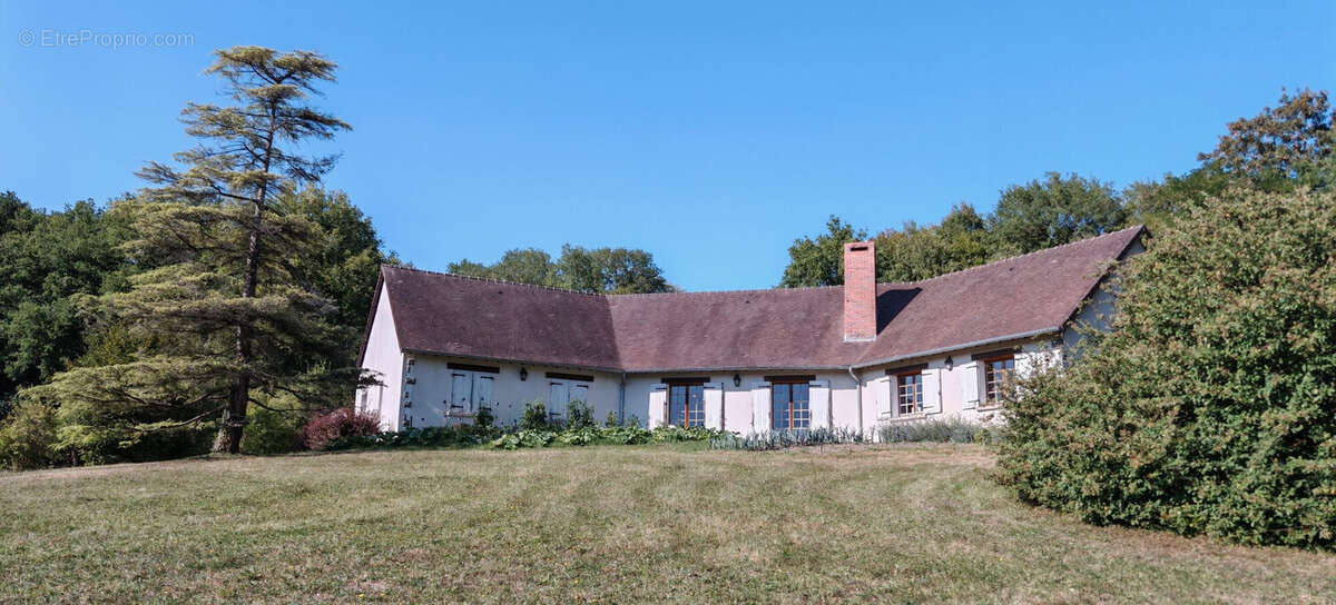 Maison 287 m² à Saint-Martin-D'ablois  - photo 6