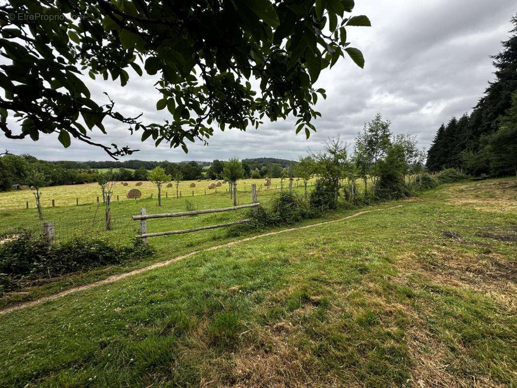 Terrain à SAINT-CYR-LA-ROSIERE
