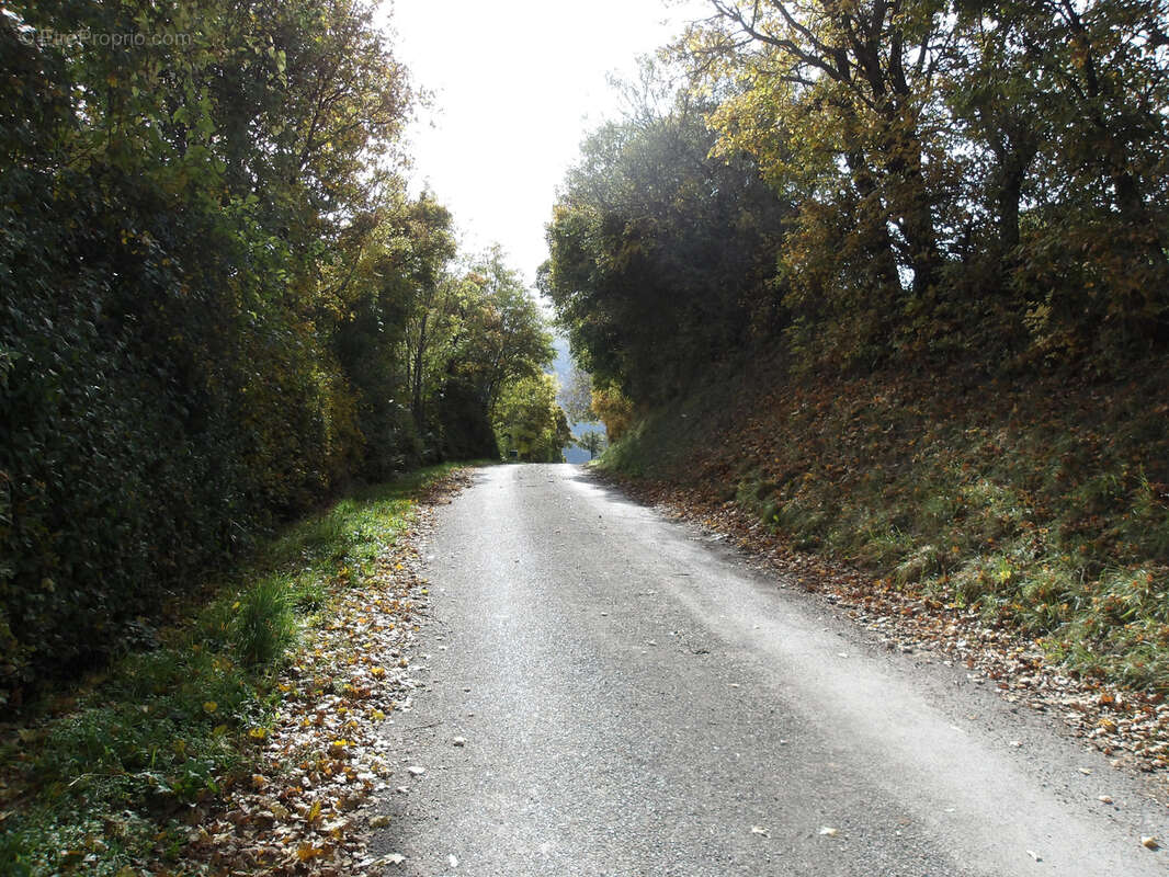Terrain à AVANCON