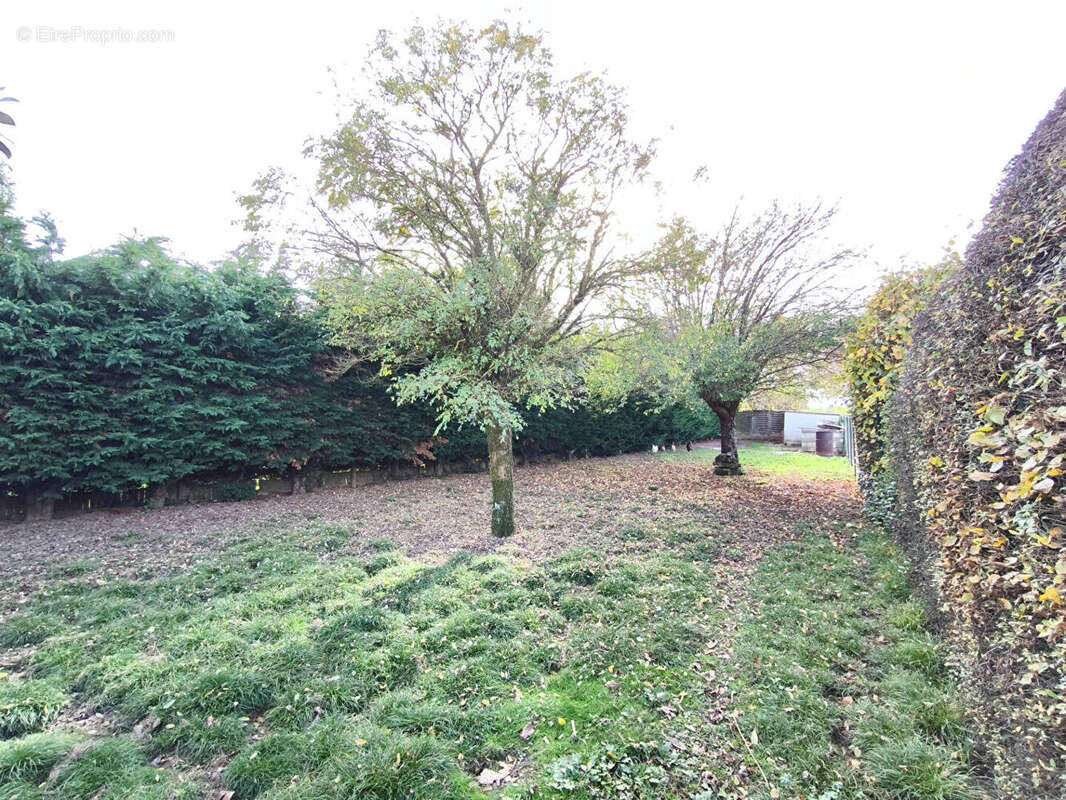 Maison à SOMMIERES-DU-CLAIN