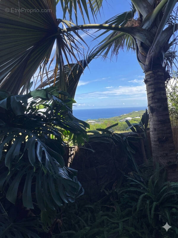 Appartement à SAINTE-MARIE