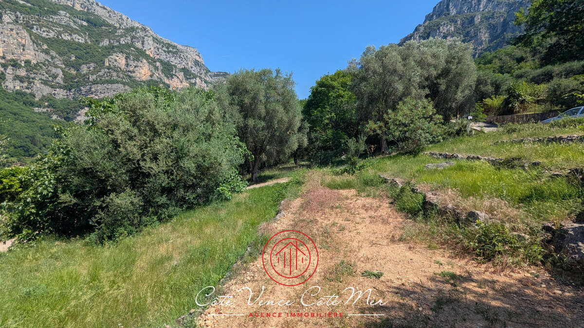Terrain à TOURRETTES-SUR-LOUP