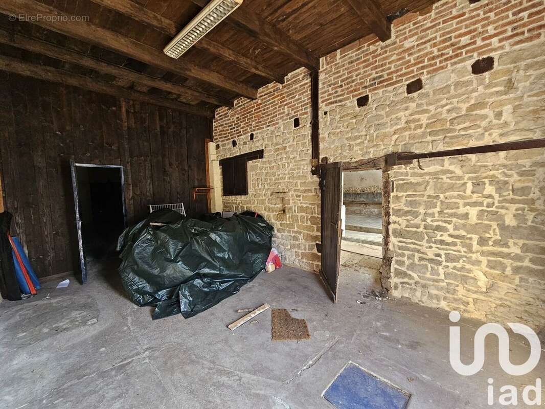 Photo 4