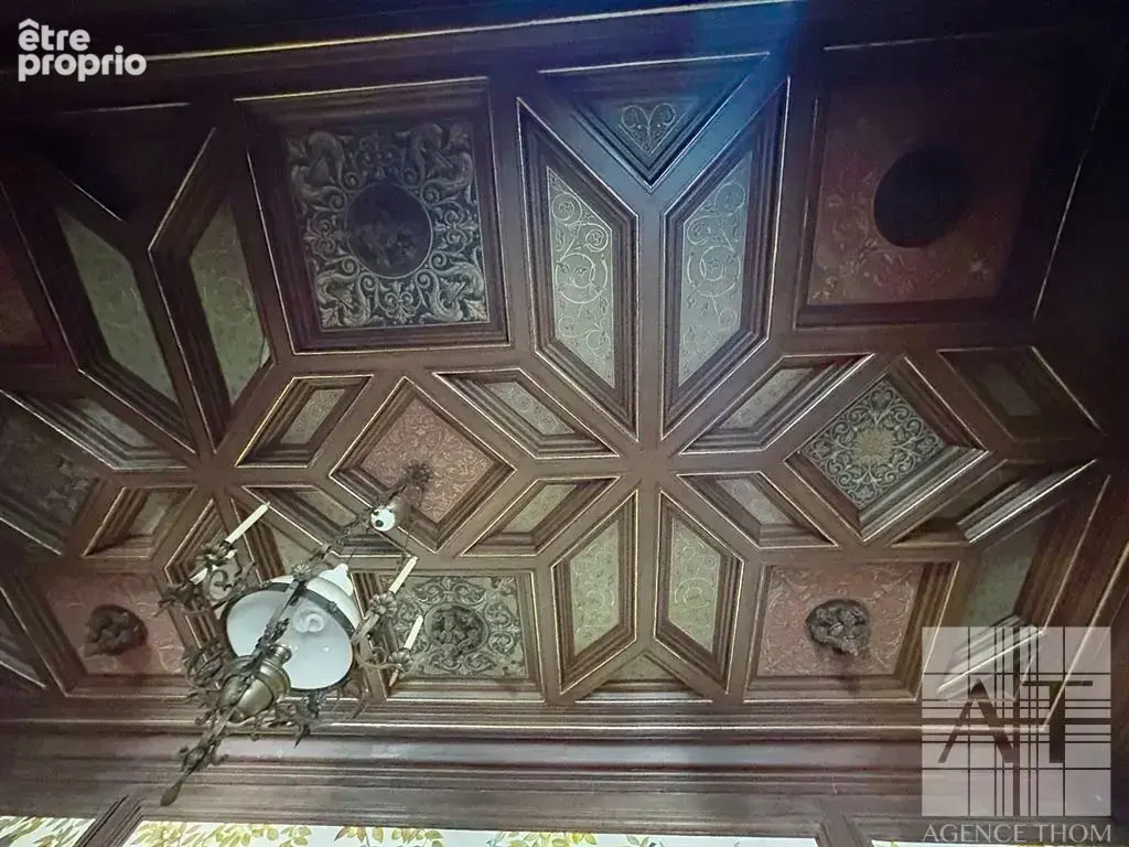 Château du Domaine avec parc de 4 084 m² - un projet de restauration unique! - photo 5