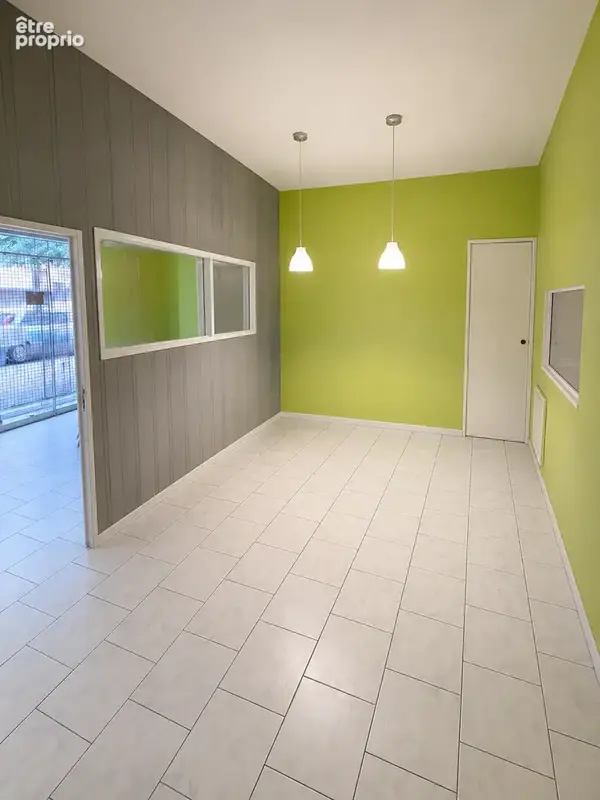 Local commercial RDC avec jardin et cave - photo 4