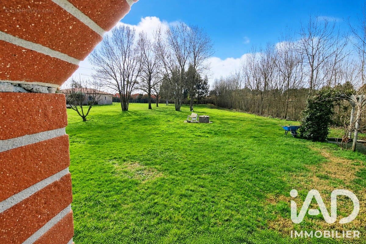 Photo 1 - Maison à GAILLAC