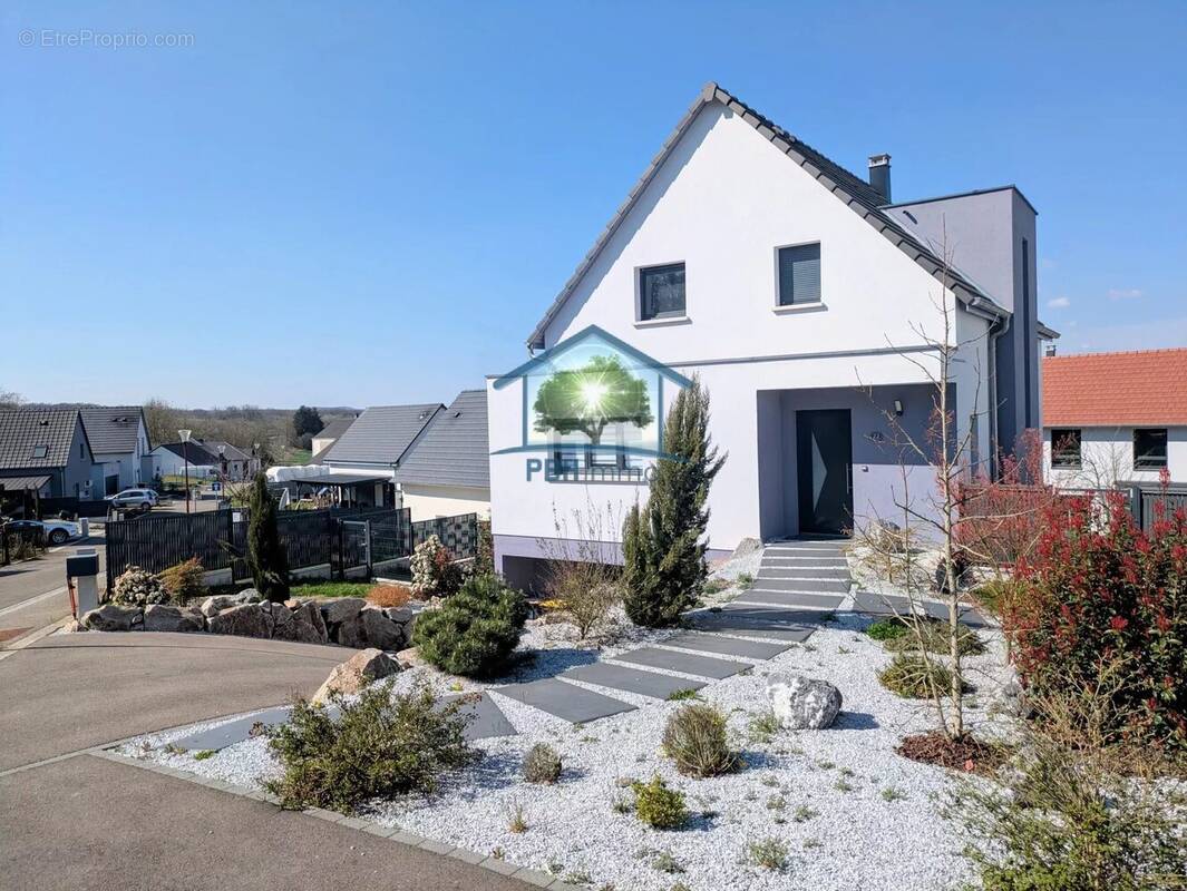 Maison à OBERMODERN-ZUTZENDORF