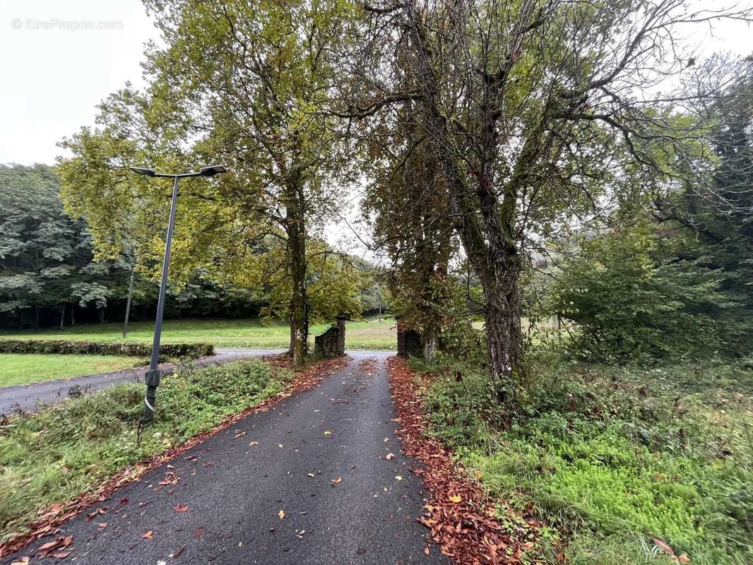 Terrain à CHAZEY-BONS