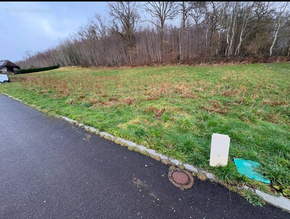 Terrain à LA FRENAYE