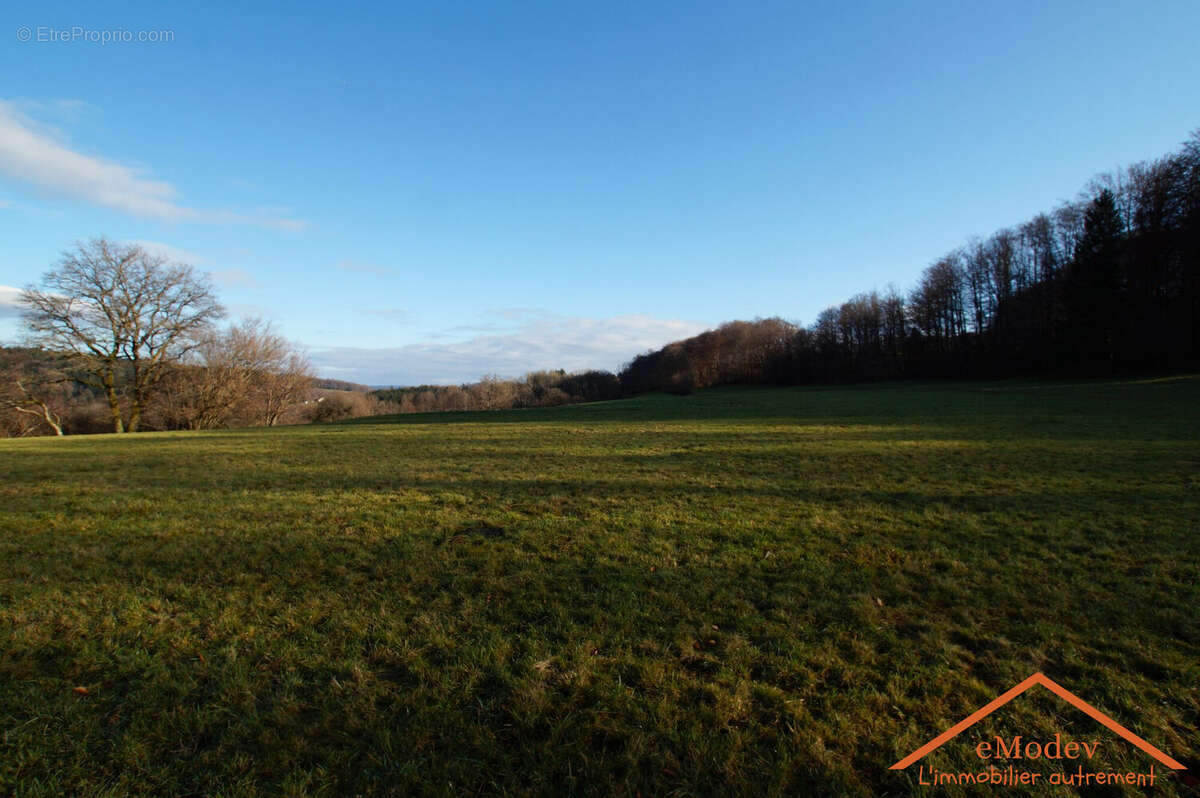 Terrain à LE VAL-D'AJOL