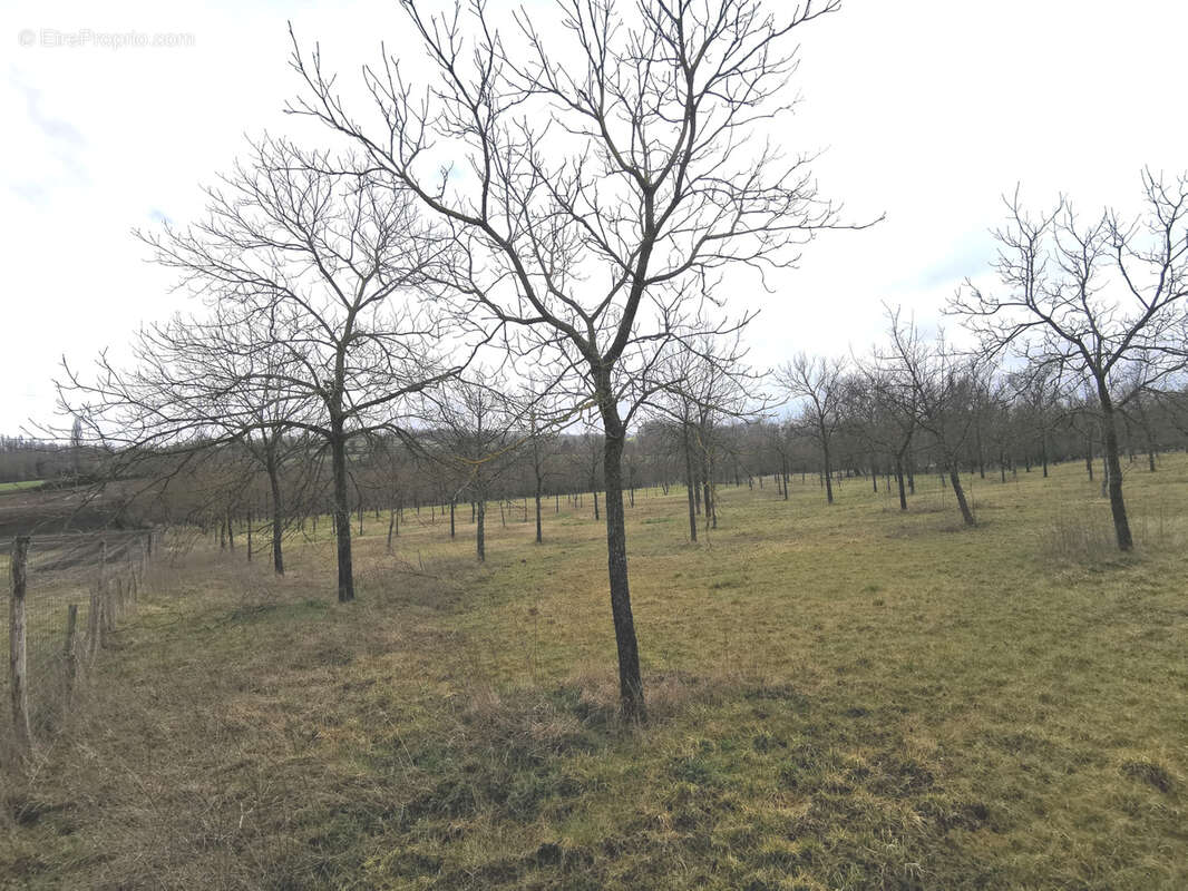 Terrain à SAINT-GERMAIN-DES-FOSSES