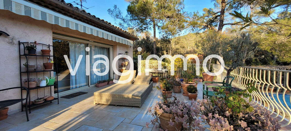 Maison  6 pièce(s) avec piscine - photo 3