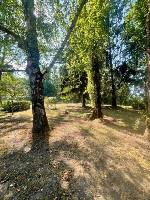 Maison à vendre 5 pièces CRE-SUR-LOIR (72) - photo 8