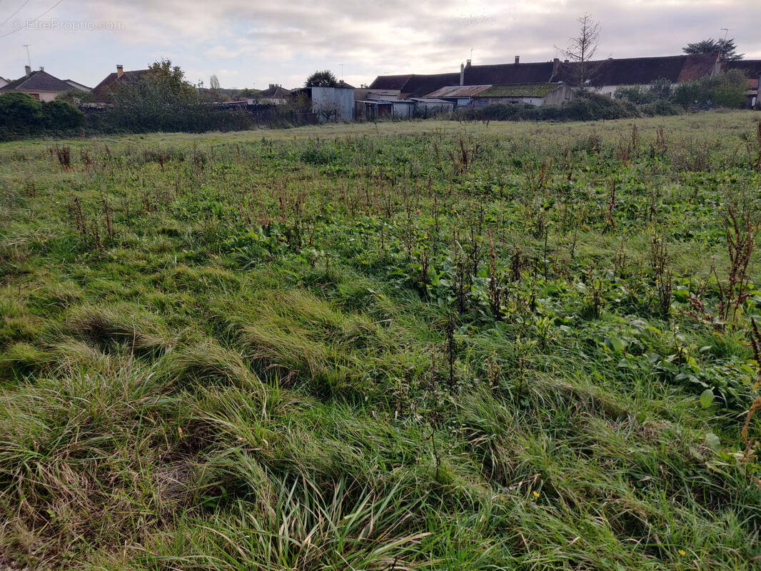 Terrain à MONETEAU