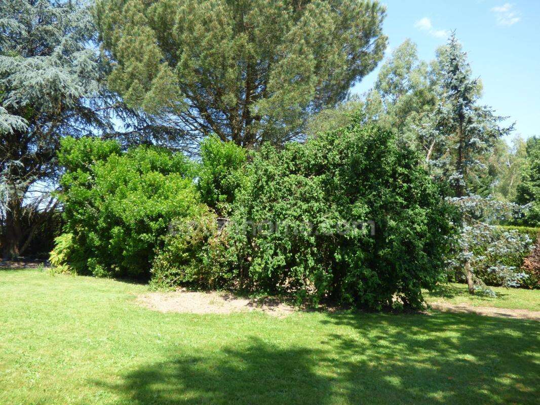Maison 4 chambres, sous-sol et magnifique jardin - photo 2