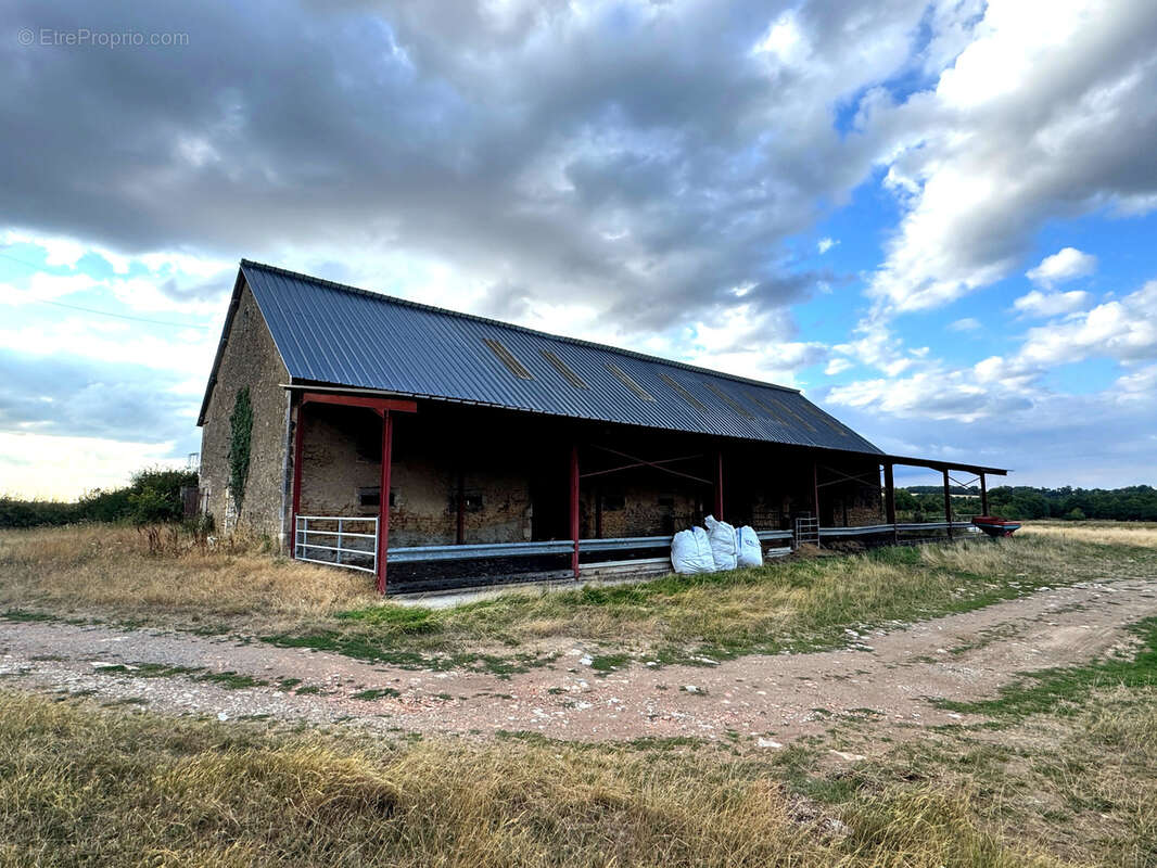 Exploitation agricole d’élevage   108 hectares dans le Boischaut Sud (Indre) - photo 5