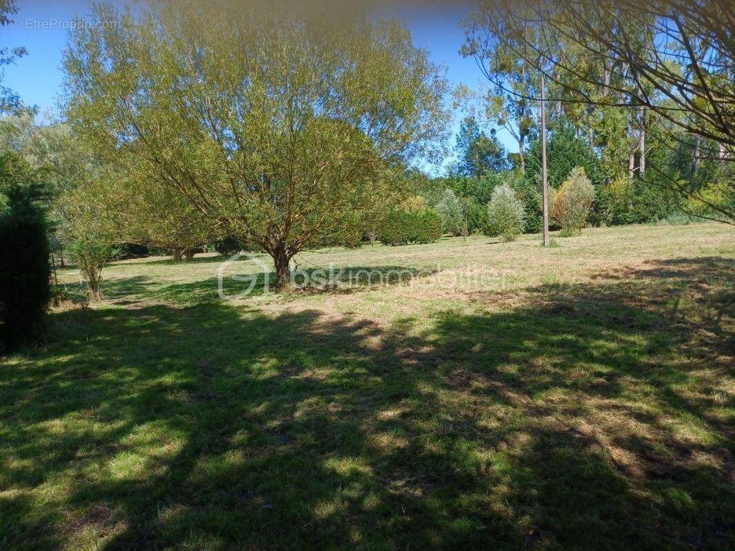 Terrain à NIHERNE