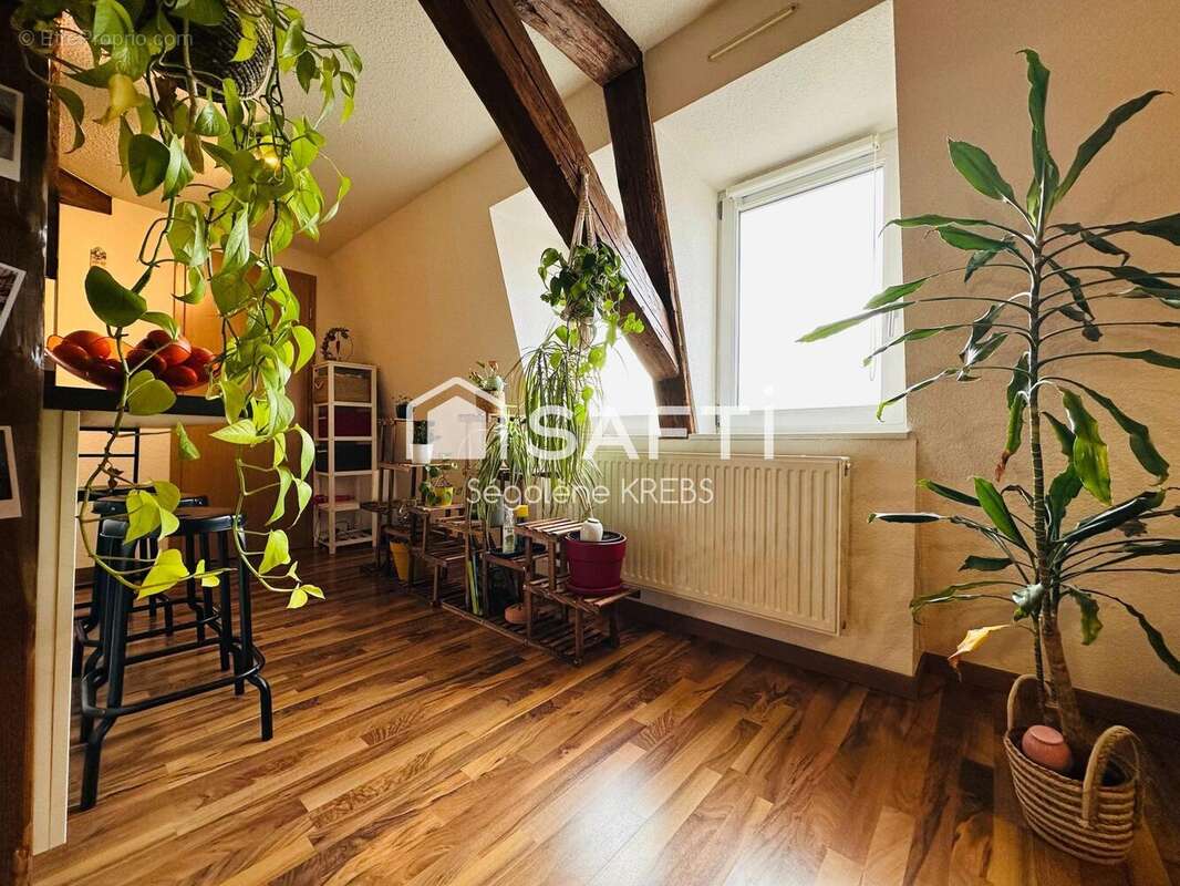 Photo 8 - Appartement à HILSENHEIM