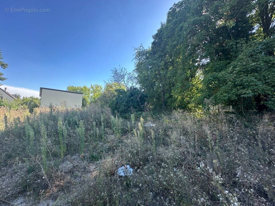 Terrain à JOUY-LE-MOUTIER