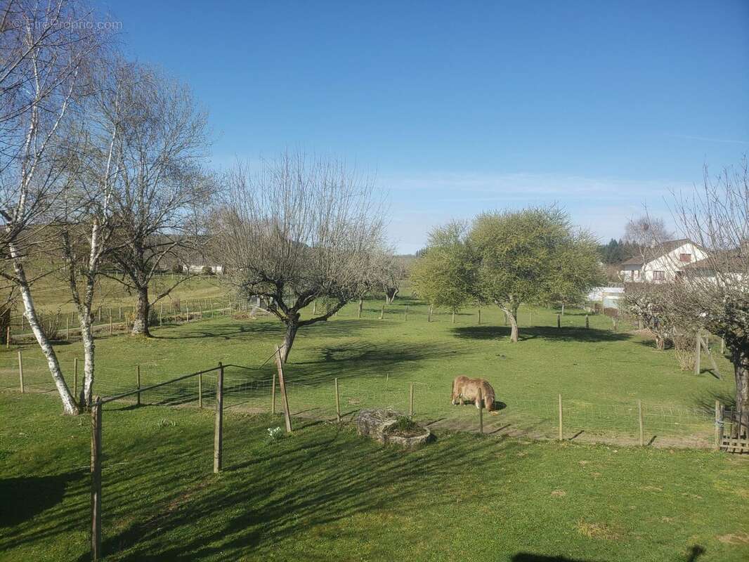 Maison à PEYRAT-LE-CHATEAU