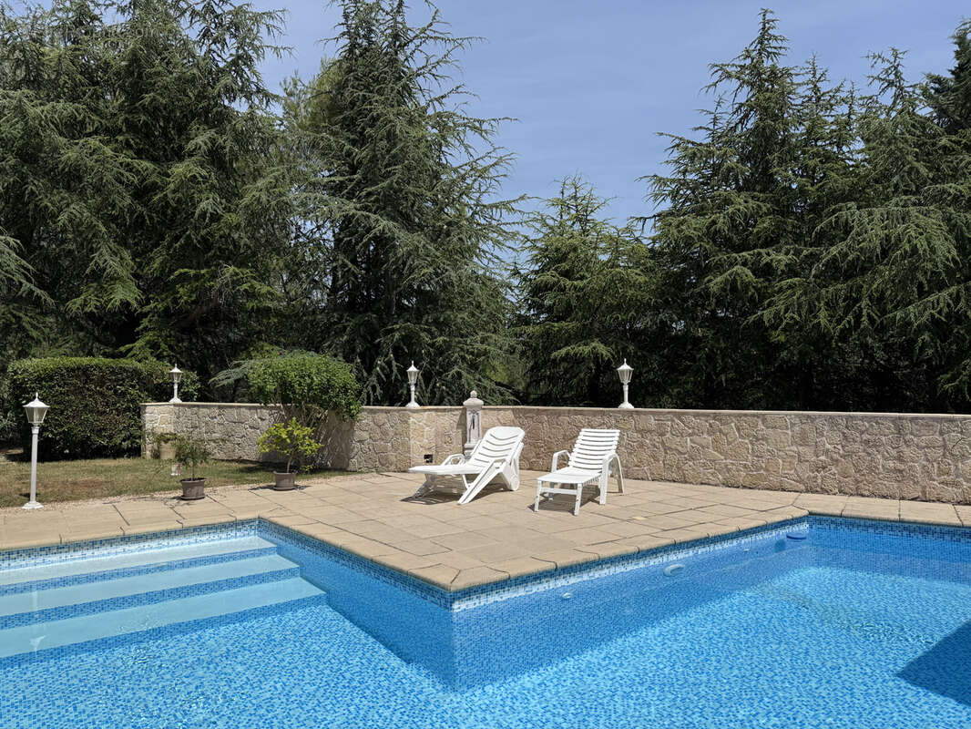 Villa d’architecte avec piscine, appartement indépendant et vaste hangar aux portes de Limoux - photo 2