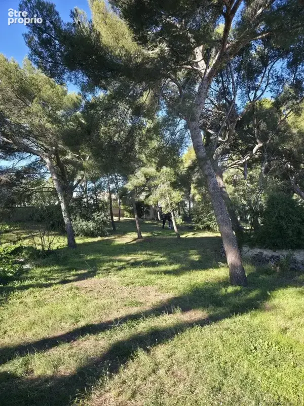 Terrain 688 m² à Sausset-Les-Pins  - photo 2