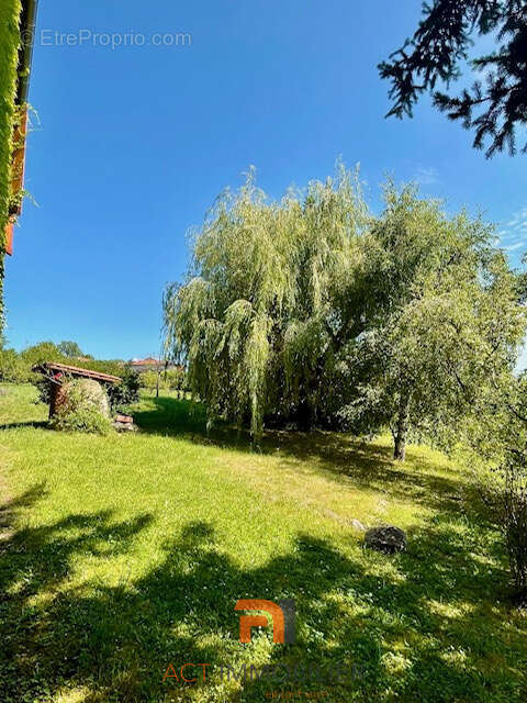 Maison à SAVIGNY