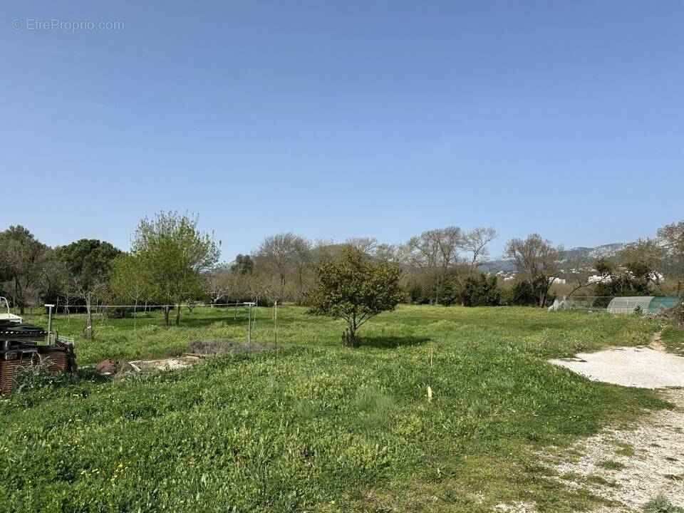 Terrain à LE PRADET