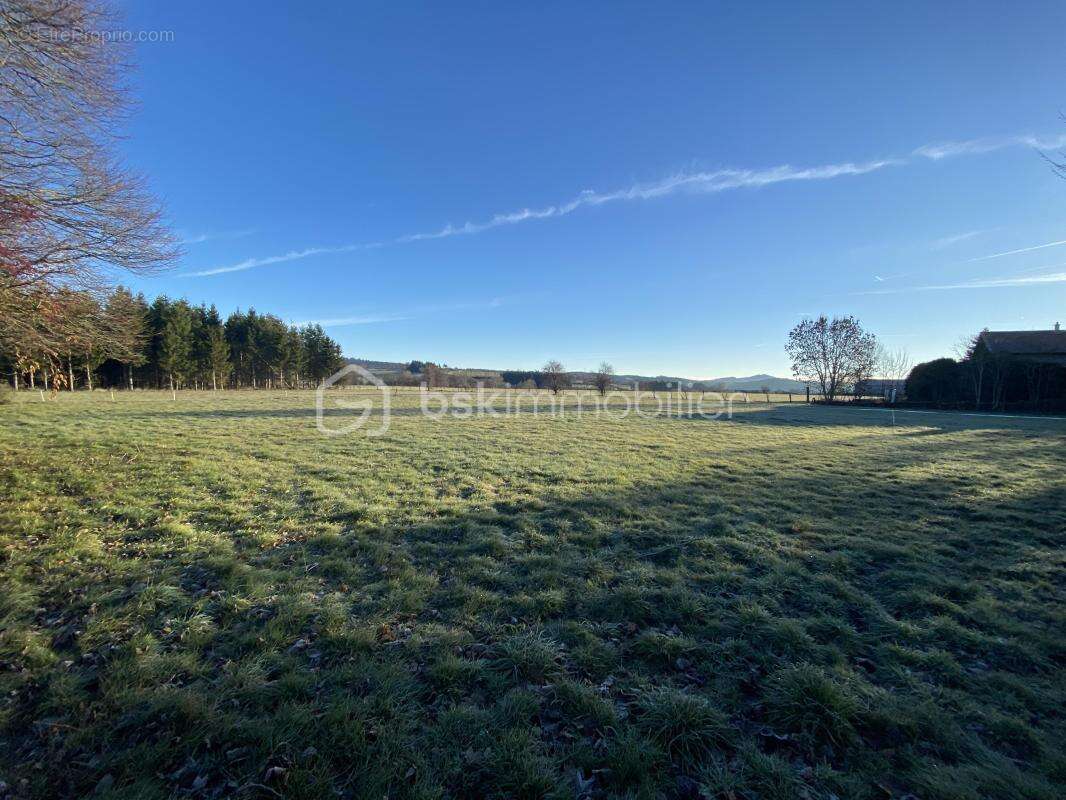 Terrain à SAINT-PAULIEN