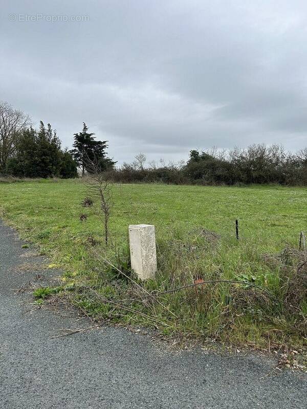 Terrain à ARDILLIERES