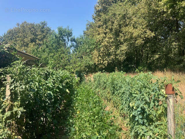 Au coeur d'un jardin paysagé en bordure de zone naturelle maison 3 ch possibilité 4 à 15 minutes de l'océan - photo 11