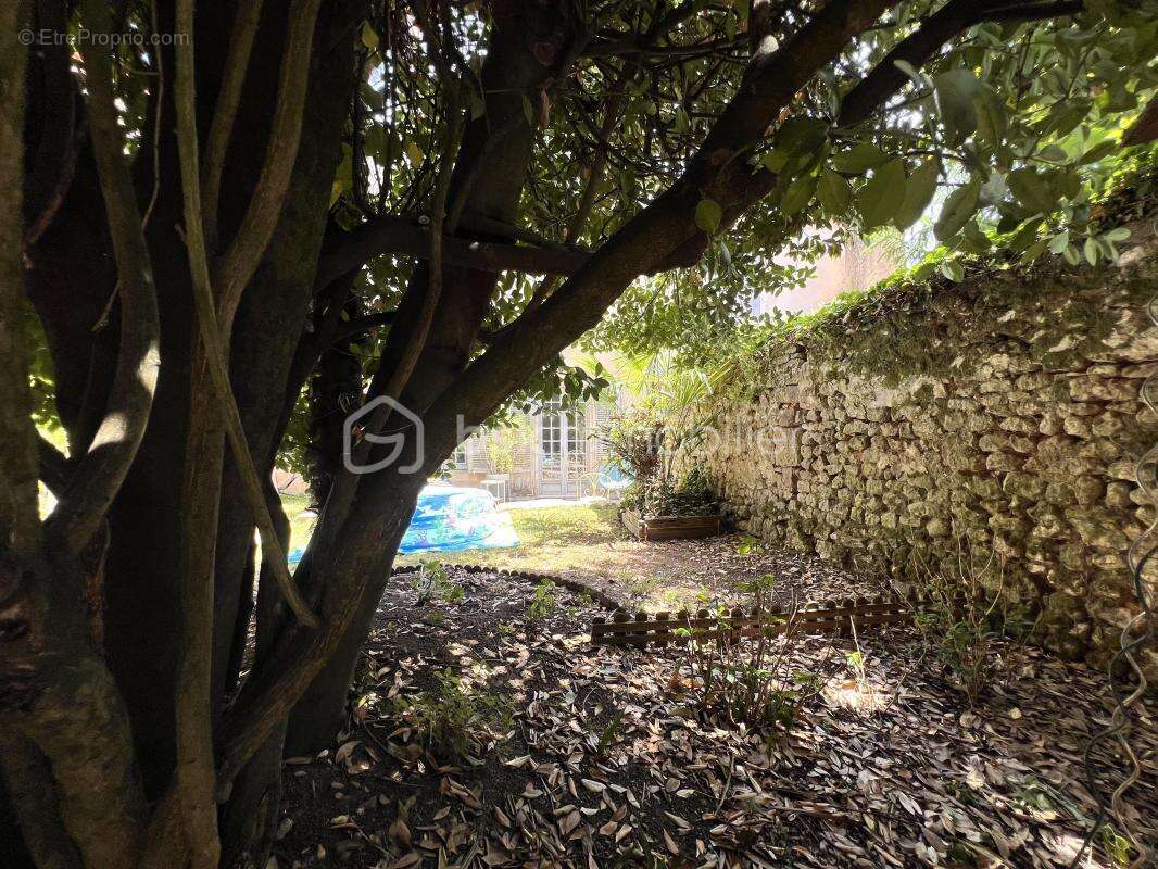 Exceptionnel ! Centre ville Poitiers. Appartement 2 chambres. Jardin - photo 14