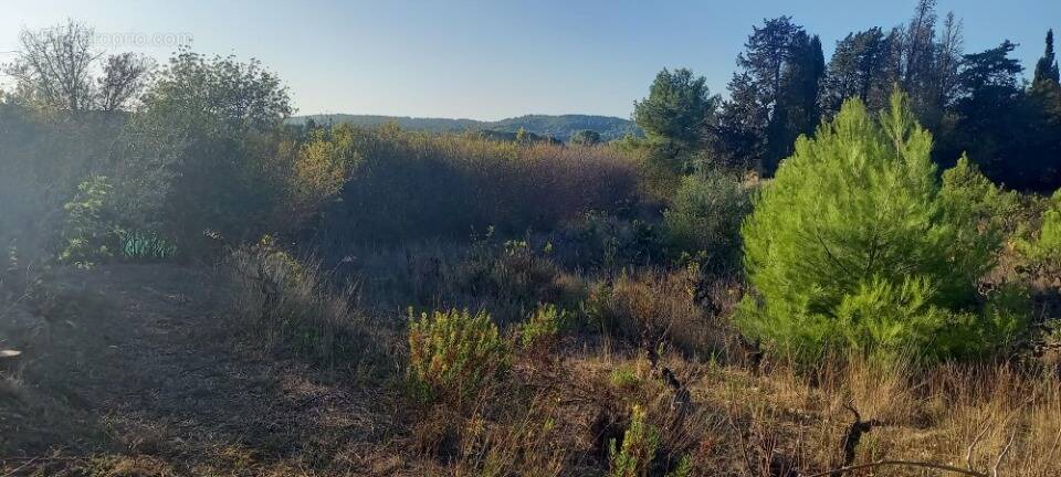 Terrain à ARGENS-MINERVOIS