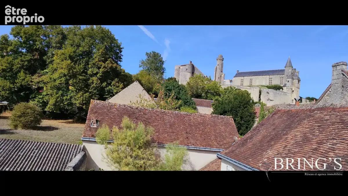 Maison 10 pièces 400 m² à vendre à Le Grand-Pressigny (37350) - photo 9