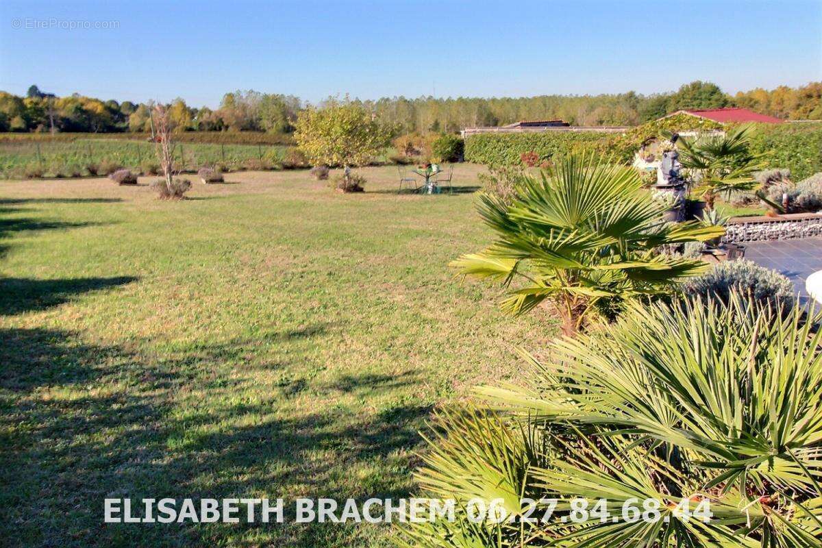 Maison à VILLEFRANCHE-DE-LONCHAT