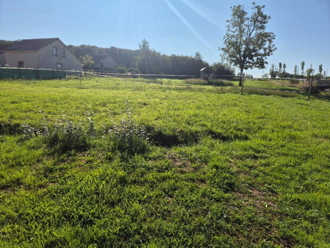Terrain à LALIZOLLE